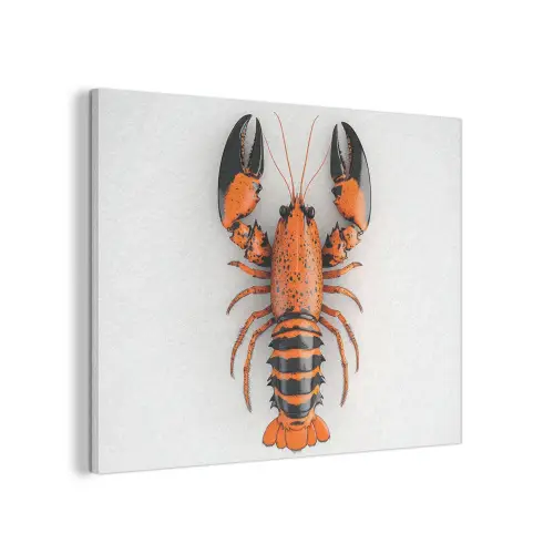 Kreeft - Zwart - Oranje - Wit - Uniek PET vilt klein -3d