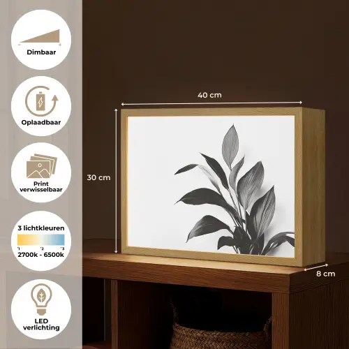 Plant - Bladeren - Minimalistisch - Zwart Light Box met batterij (Wandlamp) middel -USP_websiteoverzichtNL