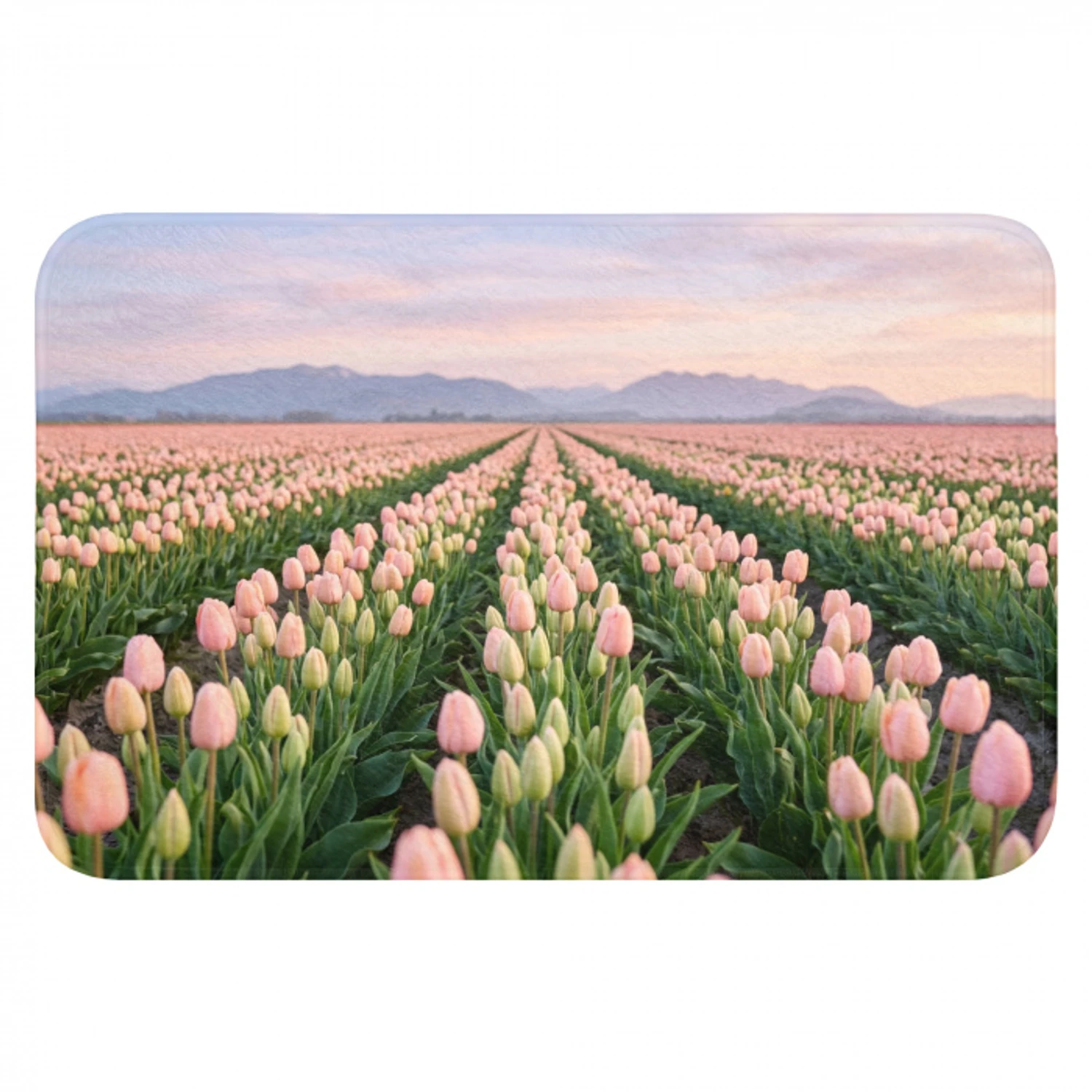 Tulpen - Landschap - Roze Badmat klein -3d