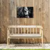 Paard - Schimmel - Portret Tuinposter op houten frame 2 cm dik klein -sfeer4