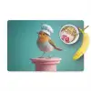 Roodborstje - Vogel - Koksmuts - Sokkel Placemat vinyl groot -zzzproduct_Kitchenyeah-website