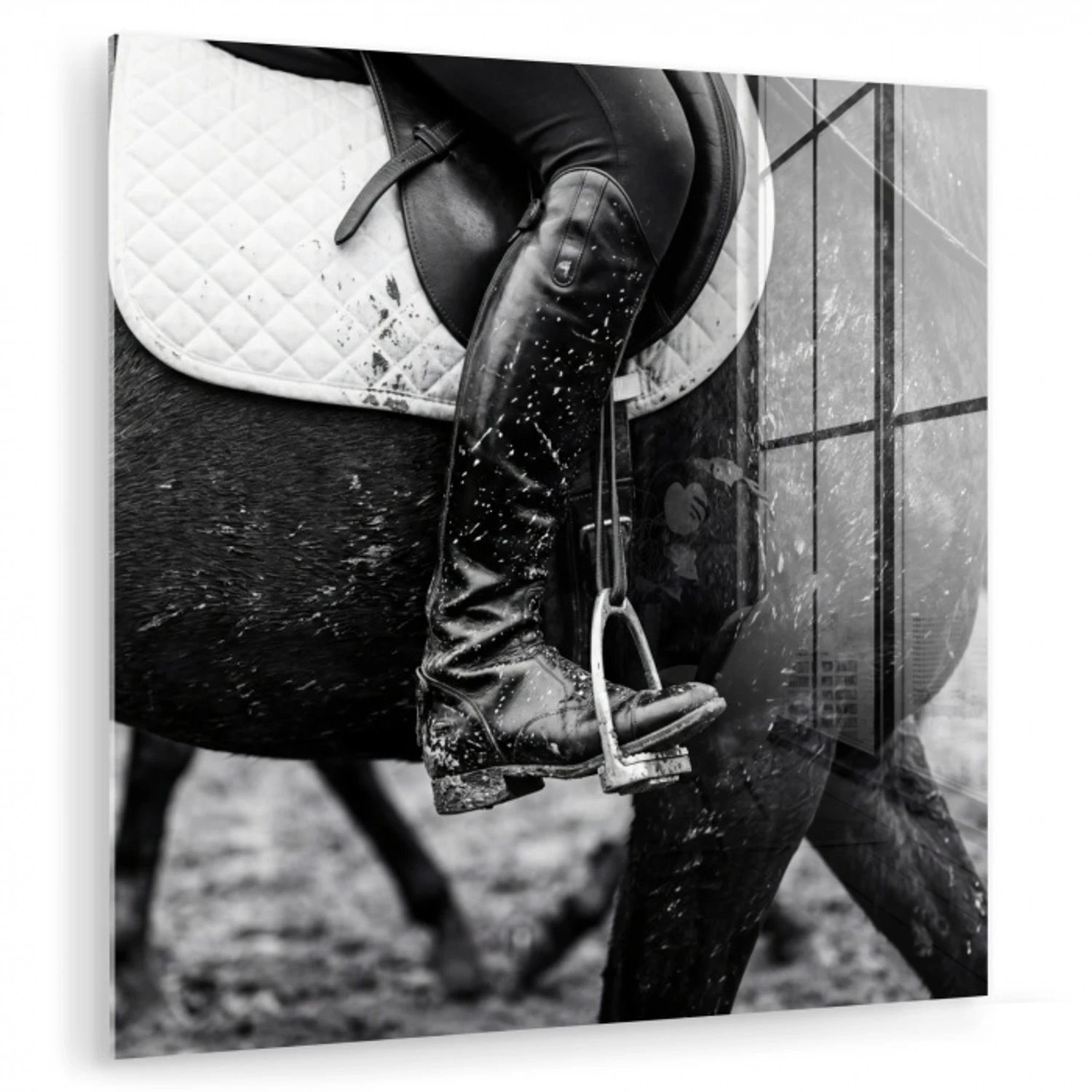 Paard - Sport - Zwart - Wit plexiglas 5mm klein -zzzproduct_nieuw