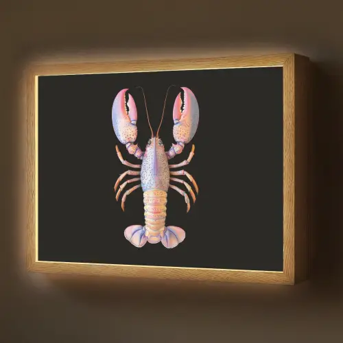 Kreeft - Roze - Zacht - Zwart Light Box met batterij (Wandlamp) middel -z3d_website