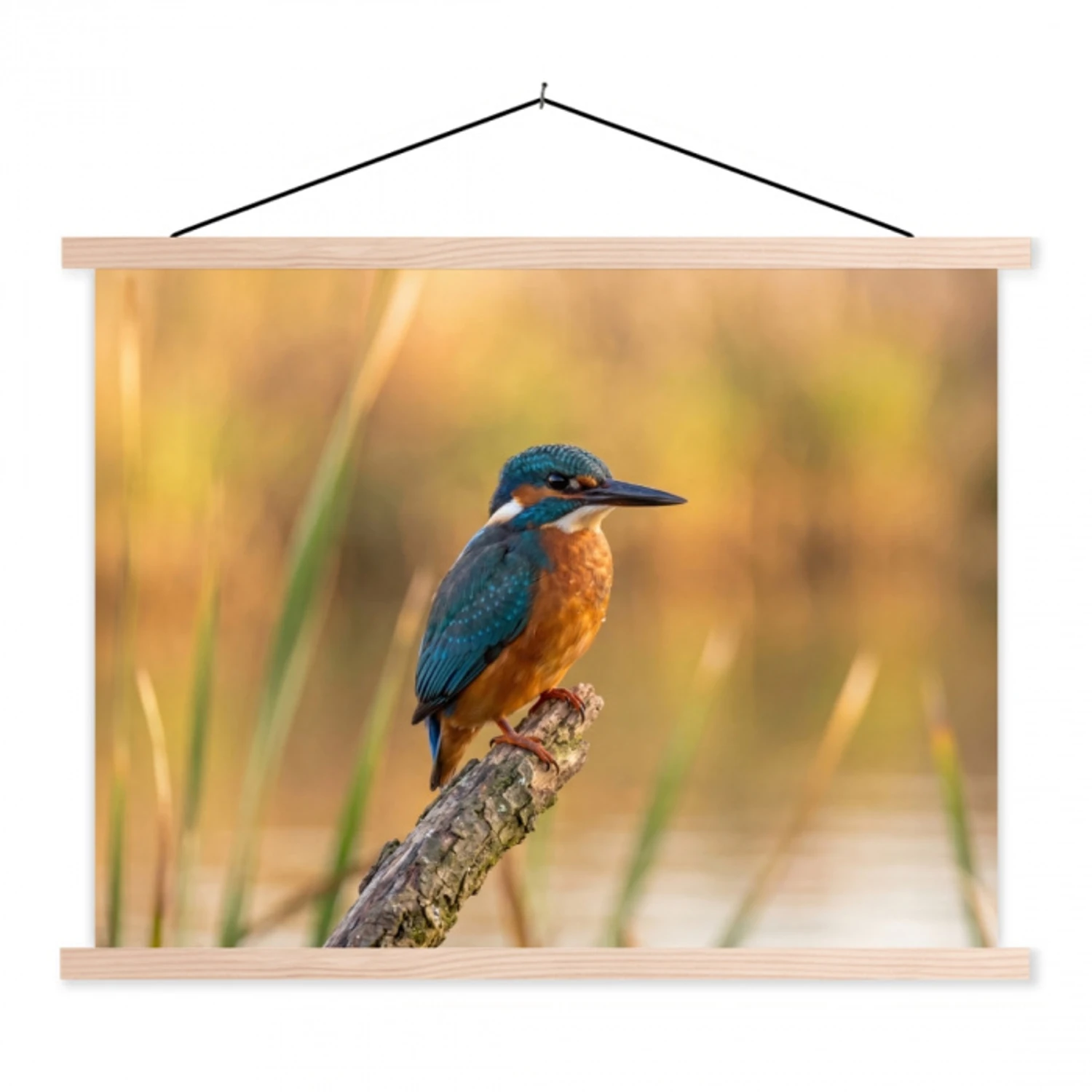 IJsvogel - Tak - Water - Kleurrijk - Levendig textielposter latten blank klein -3d