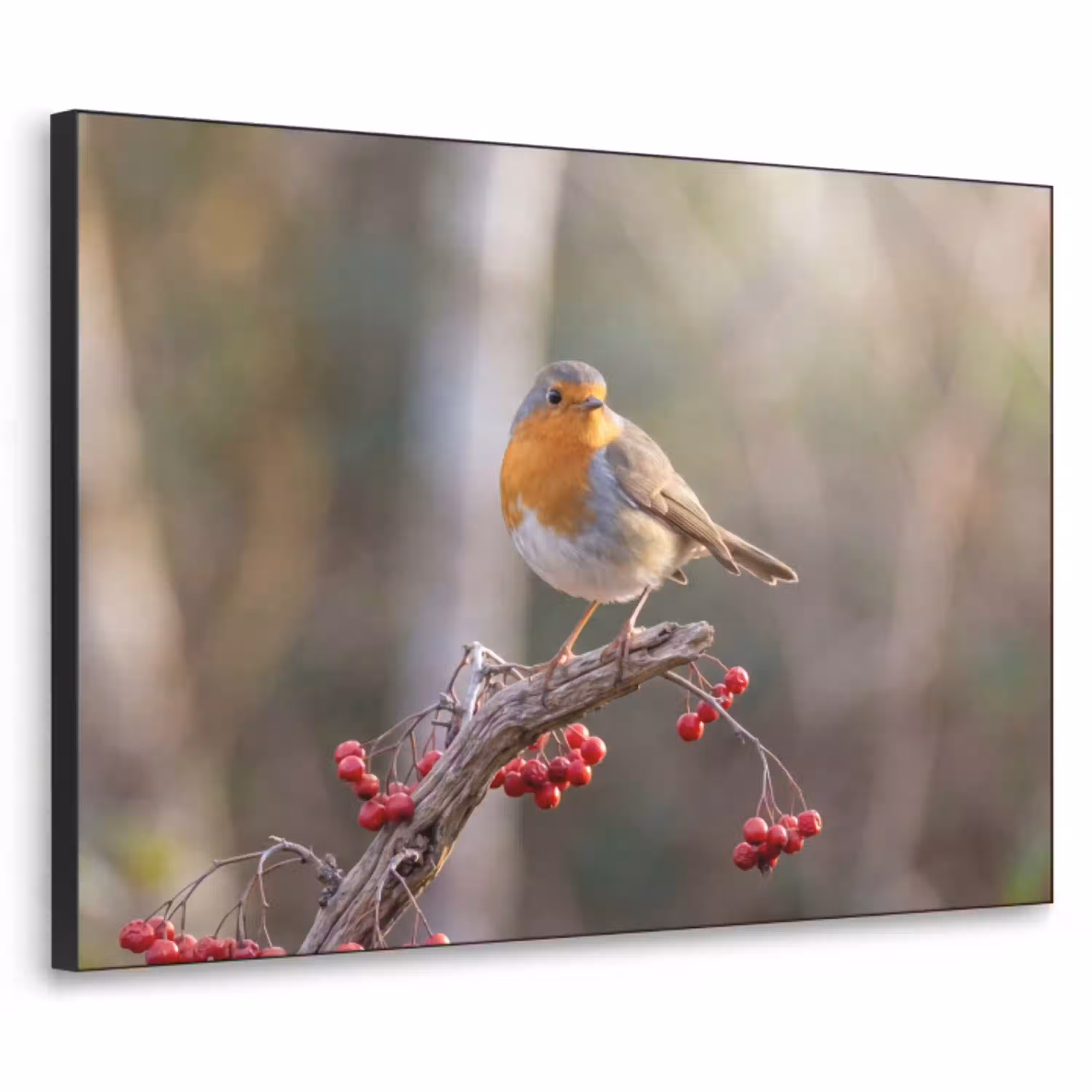 Roodborst - Tak - Bessen - Natuur Textielframe zwart klein -3d