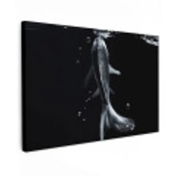 Koi - Vissen - Water - Zwart Tuinposter op houten frame 2 cm dik klein -3d