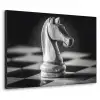 Paard - Hout - Schaalbord - Zwart Textielframe - compleet frame klein -3d