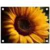Geel - Zonnebloem - Zomers tuinposter los doek klein -3d