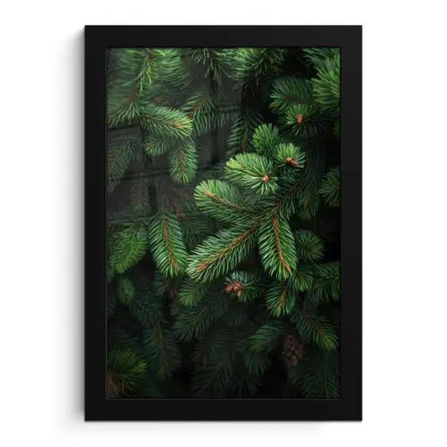 Sparrentakken - Knoppen - Naalden - Groen fotolijst zwart zonder passe partout klein -3d