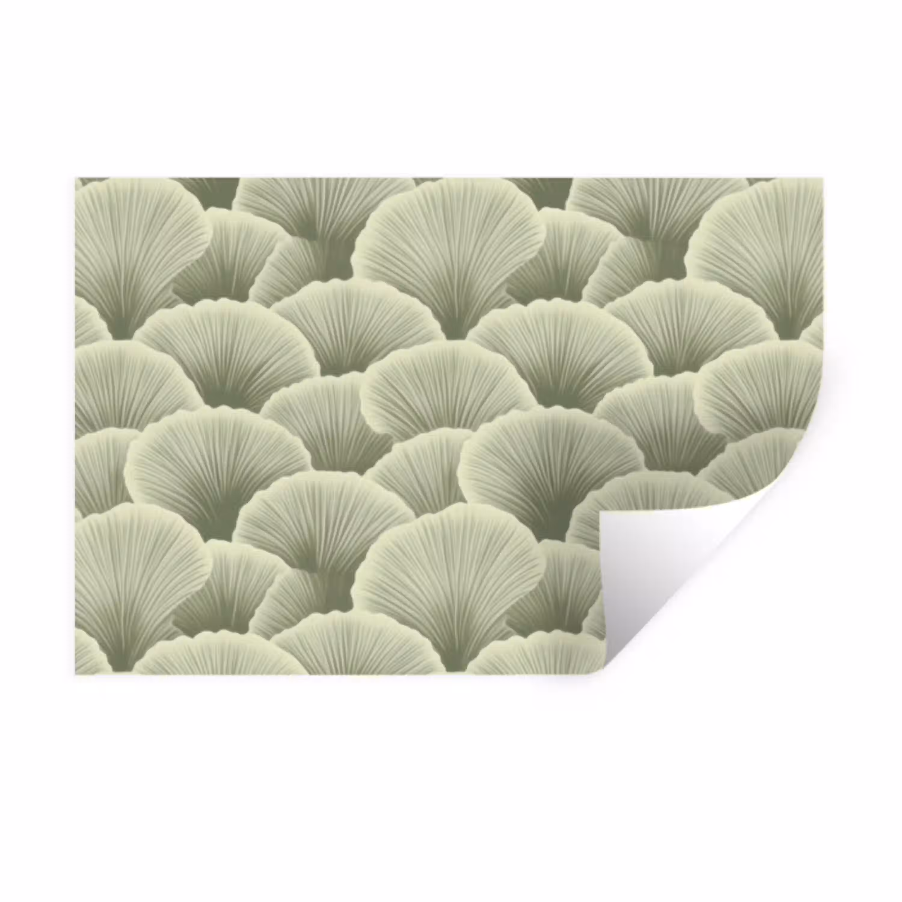 Waaier - Blad - Groen Muursticker klein 286 -3d