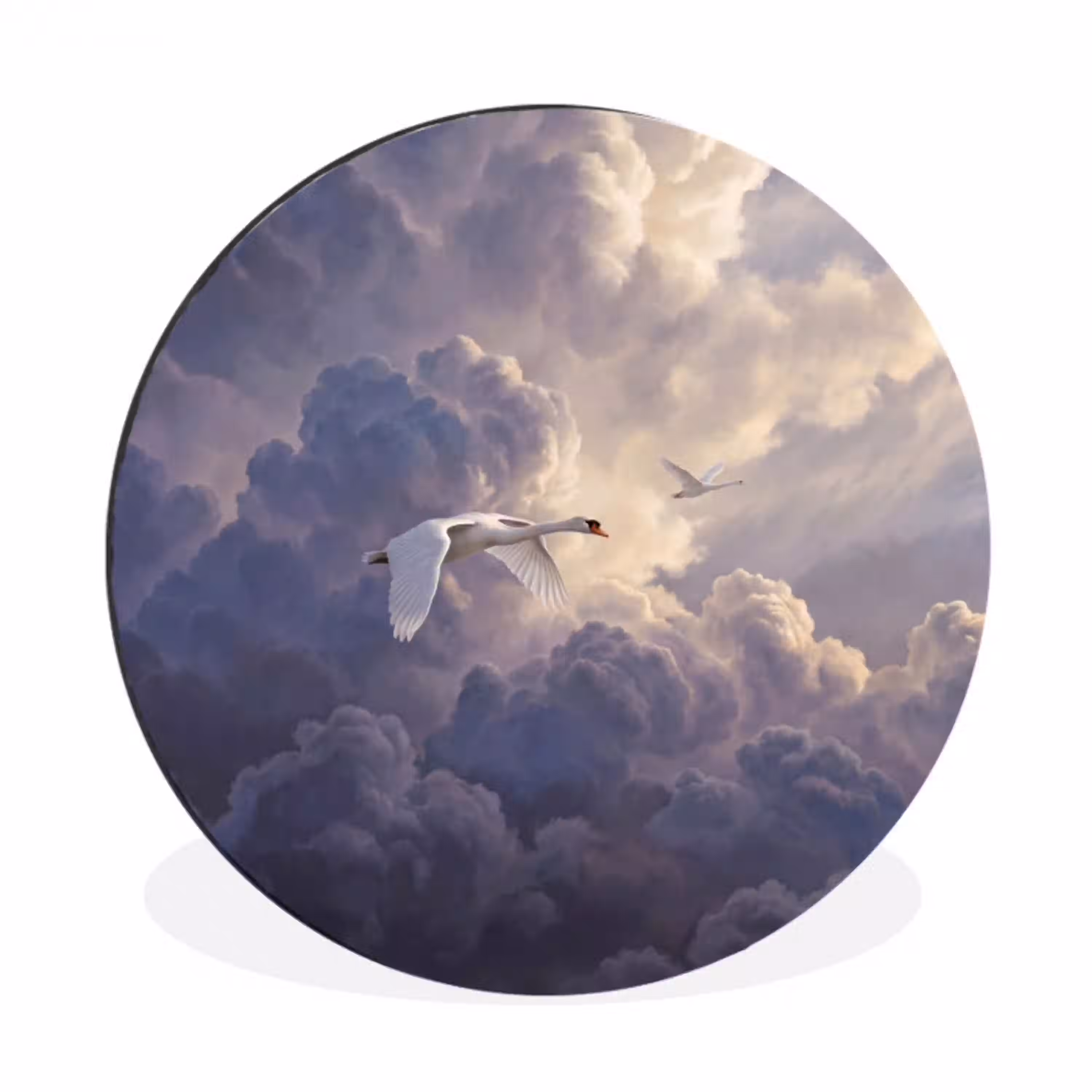 Vogel - Vliegend - Natuur - Wit - Wolken Wandcirkel aluminium klein -3d