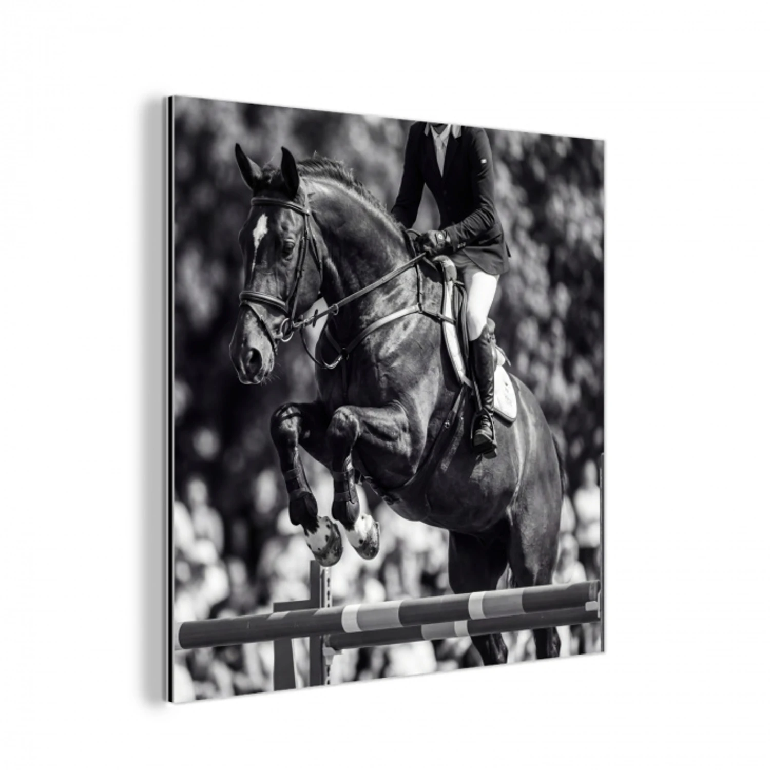 Springen - Paard - Zwart - Wit aluminium wit klein -3d