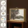 Eiland - Palmboom - Zee Light Box met batterij (Wandlamp) middel -USP_websiteoverzichtNL