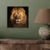 Leeuw - Dieren - Zwart - Licht - Bruin - Portret aluminium wit klein -sfeer2