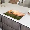 Paardenbloem - Zonsondergang - Veld Inductie beschermer vinyl 3mm klein -sfeer8