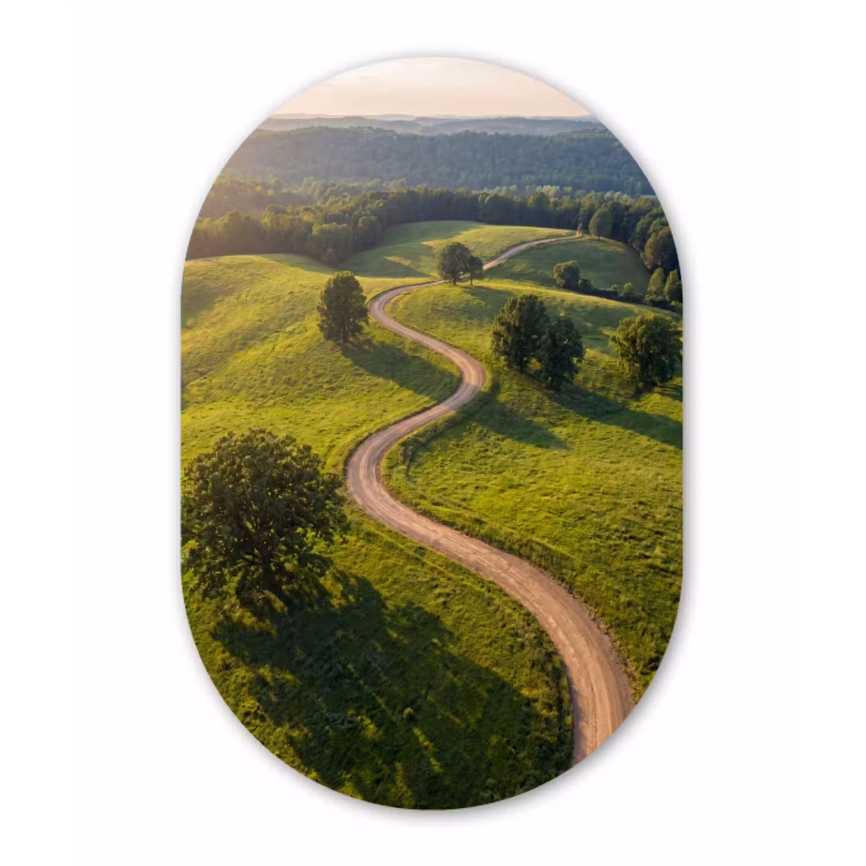Weg - Weide - Natuur - Groen Wandcirkel Ovaal Aluminium middel -3d