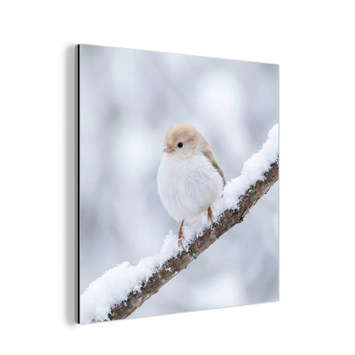 Vogeltje - Sneeuw - Tak - Winter - Zacht aluminium wit klein -3d