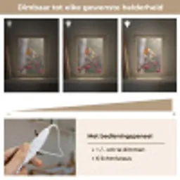 Roodborst - Tak - Bessen - Natuur Light Box met kabel (Kinderlampje) klein -USP_dimbaarNL
