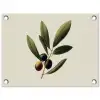 Olijftak - Donkergroen - Olijven tuinposter los doek klein -3d