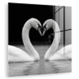 Zwanen - Hart - Zwart - Wit plexiglas 5mm klein -zzzproduct_nieuw