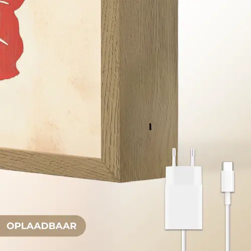 Rode hibiscusbloem - Textuur achtergrond - Beige Light Box met batterij (Wandlamp) middel -USP_websiteoplaadbaarNL