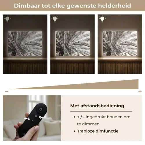 Palmboom - Tropisch - Zwart - Wit Light Box met batterij (Wandlamp) middel -USP_dimbaarNL