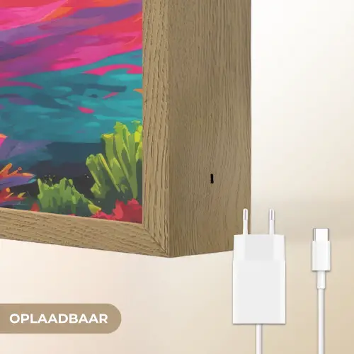 Dolfijn - Kleurrijk - Oceaan - Koraal Light Box met batterij (Wandlamp) middel -USP_websiteoplaadbaarNL
