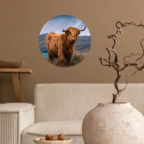 Schotse Hooglander - Berg - Water - Natuur - Koe Wandcirkel behangsticker klein -sfeer1