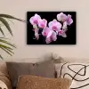 Orchidee - Bloemen - Roze - Flora canvas 2cm klein -sfeer1
