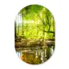 Bos - Landschap - Water - Bomen - Zon - Groen - Natuur Wandcirkel Ovaal Forex klein -3d