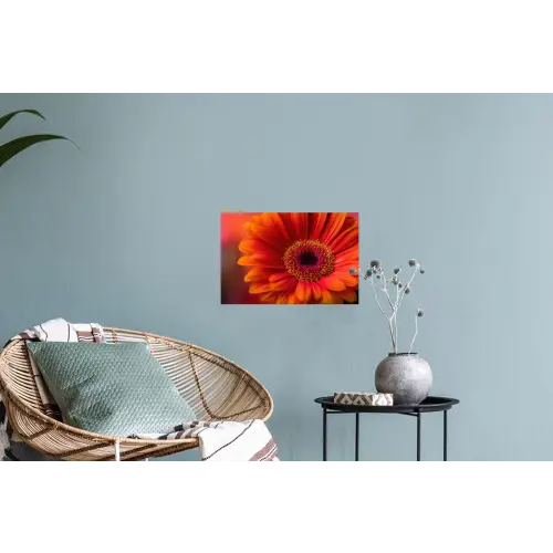Oranje - Gerbera - Intens Muursticker klein -plant