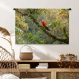 Ara - Jungle - Rood Wandkleed katoen middel -sfeer5