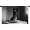 Paard - Bord - Pasta - Tafelkleed - Zwart Wit - Dieren Wandkleed katoen klein -zz3d