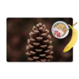 Dennenappel - Bos - Herfst - Bruin - Sfeervol Placemat vinyl groot -zzzproduct_Kitchenyeah-website