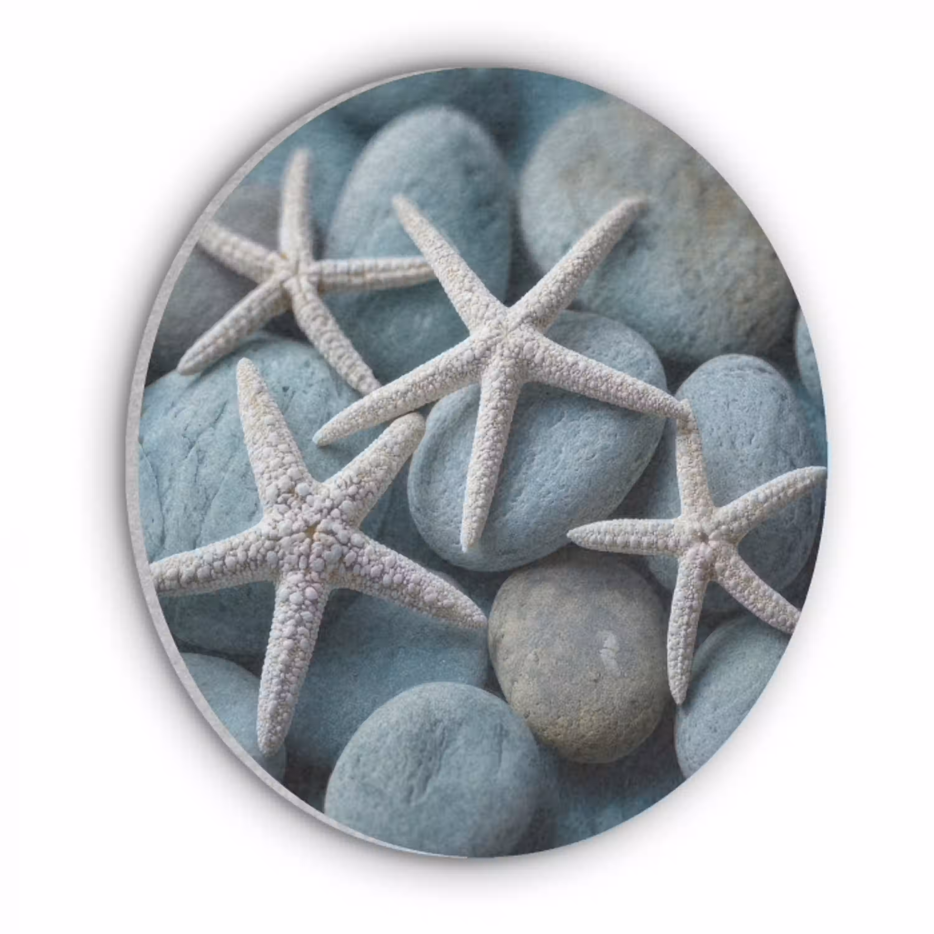 Zeesterren - Stenen - Wit Akoestische PET Vilt - Rond klein -3d