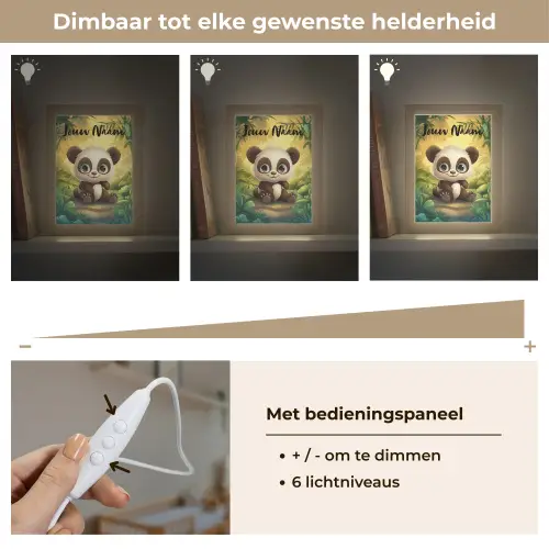 Panda - Bamboebos - Groen Light Box met kabel (Kinderlampje) klein -USP_dimbaarNL