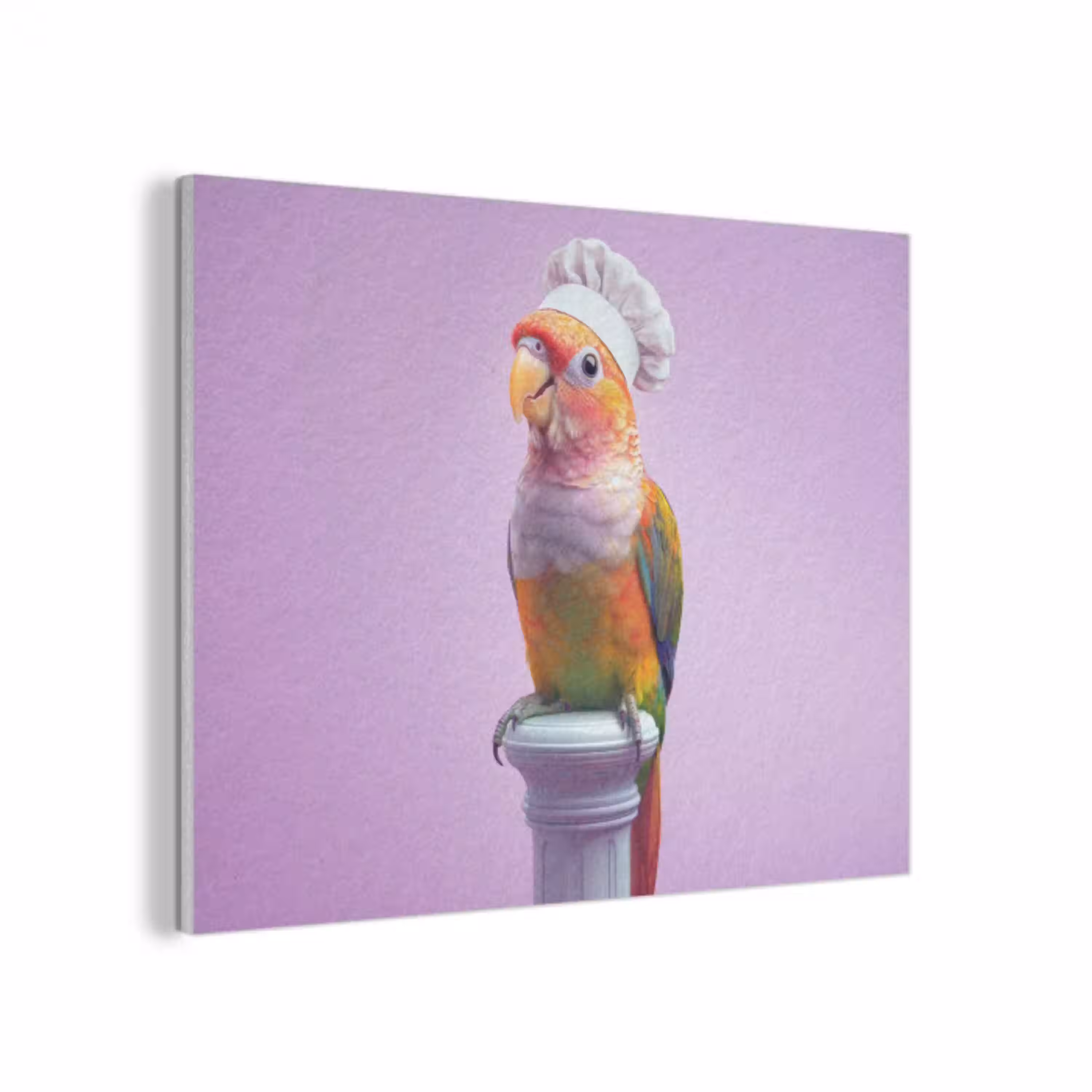 Papegaai - Koksmuts - Pilaar - Vogel PET vilt klein -3d