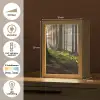 Zon - Takken - Bomen - Bos - Natuur Light Box met kabel (Tafellamp) klein -USP_NL