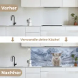 Schotse Hooglander - Sneeuw - Bergen - Winter keuken achterwand 2 middel -voor-na_DE