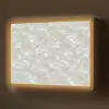 Parelmoerglans - Wit - Schelp Light Box met batterij (Wandlamp) middel 907 -z3d_website
