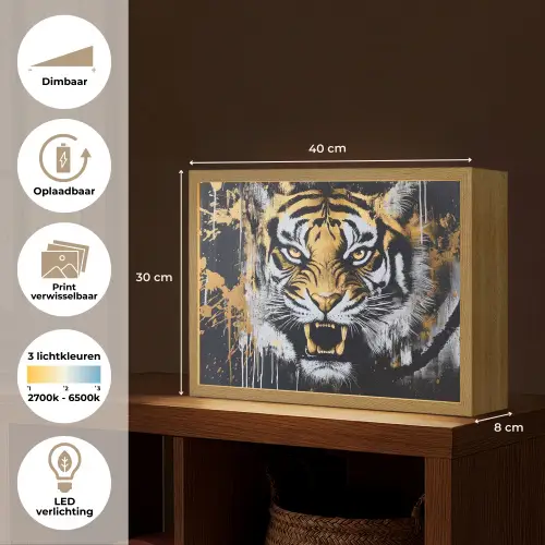 Tijger - Verfspatten - Goud Light Box met batterij (Wandlamp) middel -USP_websiteoverzichtNL