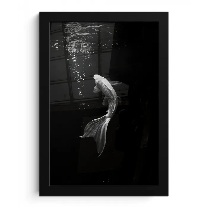 Koi - Vis - Wit - Zwart fotolijst zwart zonder passe partout klein -3d