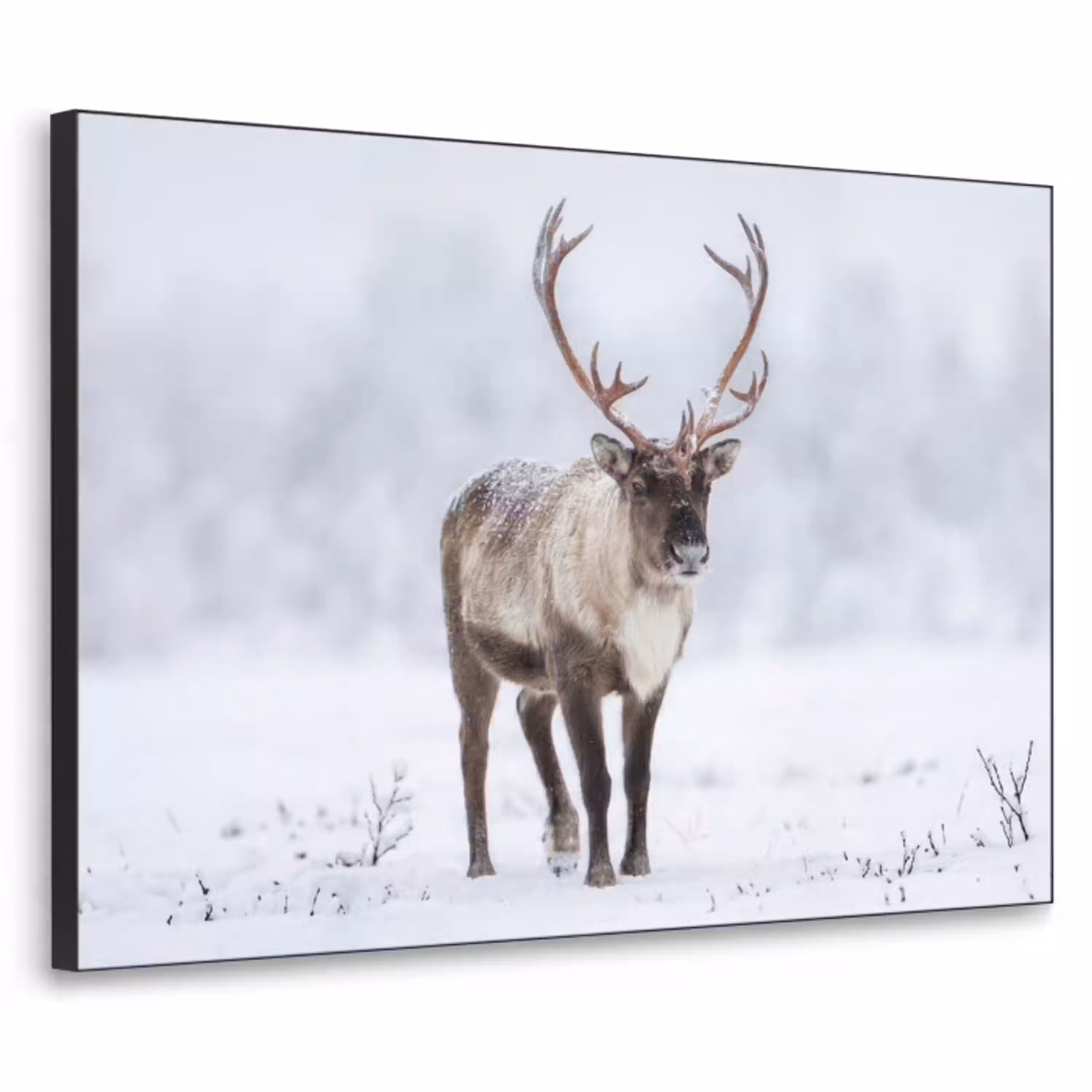 Rendier - Gewei - Toendra - Sneeuw - Wild Textielframe zwart klein -3d