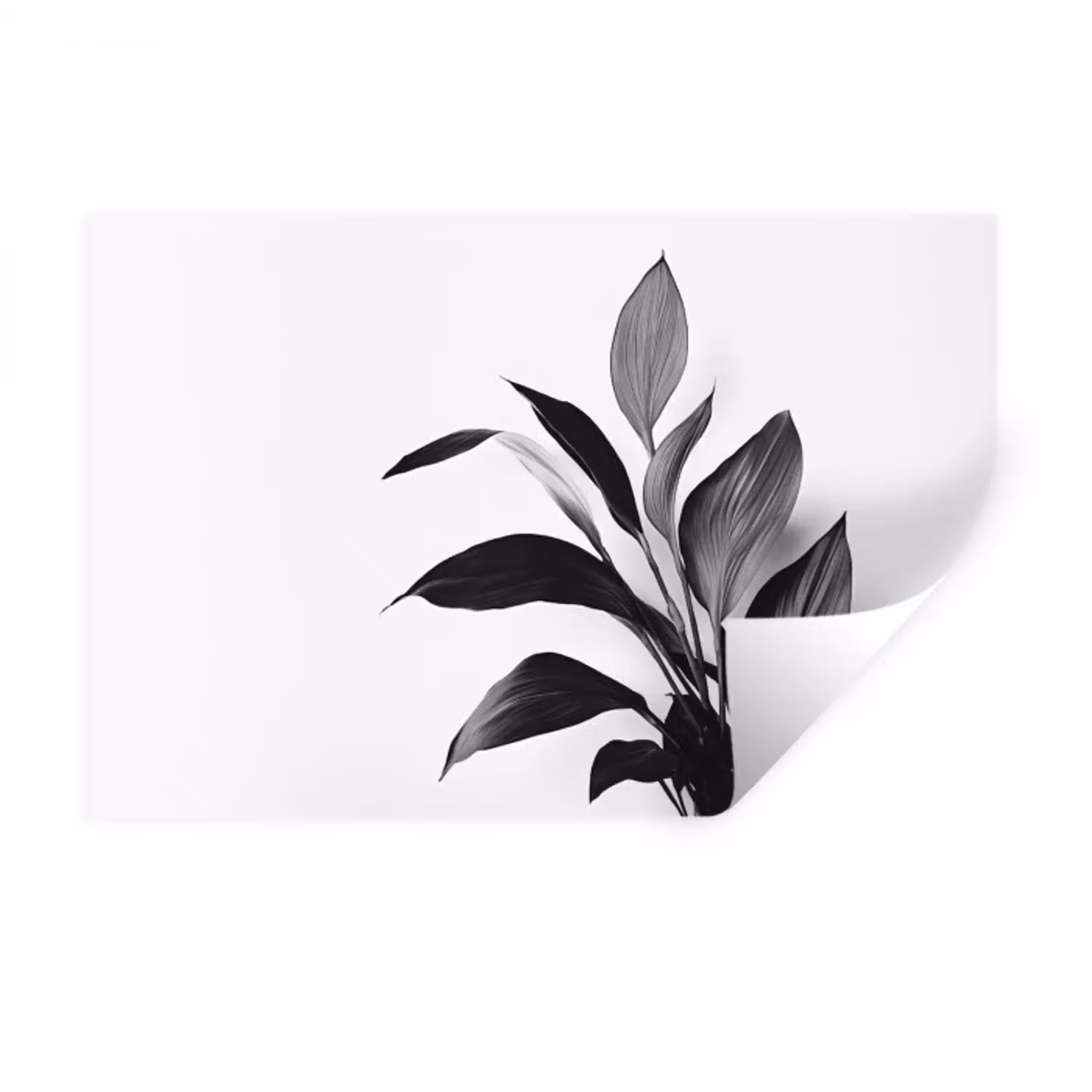 Plant - Bladeren - Minimalistisch - Zwart Muursticker klein -3d
