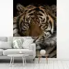 Tijger - Wilde dieren - Portret fotobehang vinyl groot -woonkamer