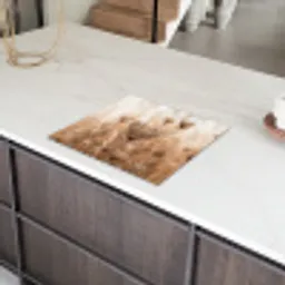 Schermbloem - Droogbloem - Winter - Beige - Minimalistisch Inductie beschermer vinyl 3mm middel -sfeer8