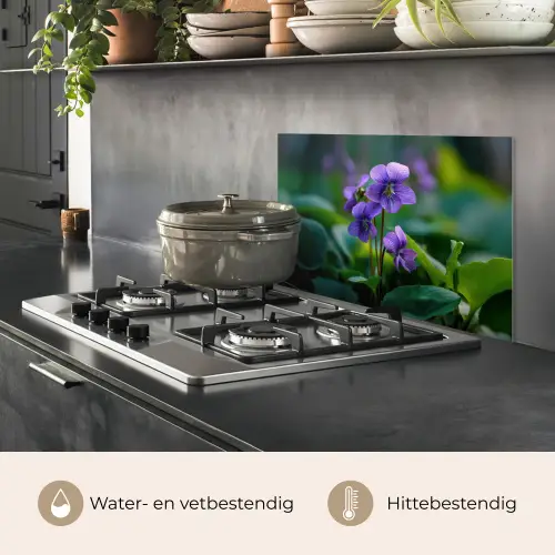 Viooltjes - Paars - Bloem - Bladeren keuken achterwand spatscherm klein -usp_NL