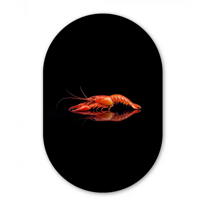 Kreeft - Oranje - Zwart - Opvallend Wandcirkel Ovaal Glas middel -3d