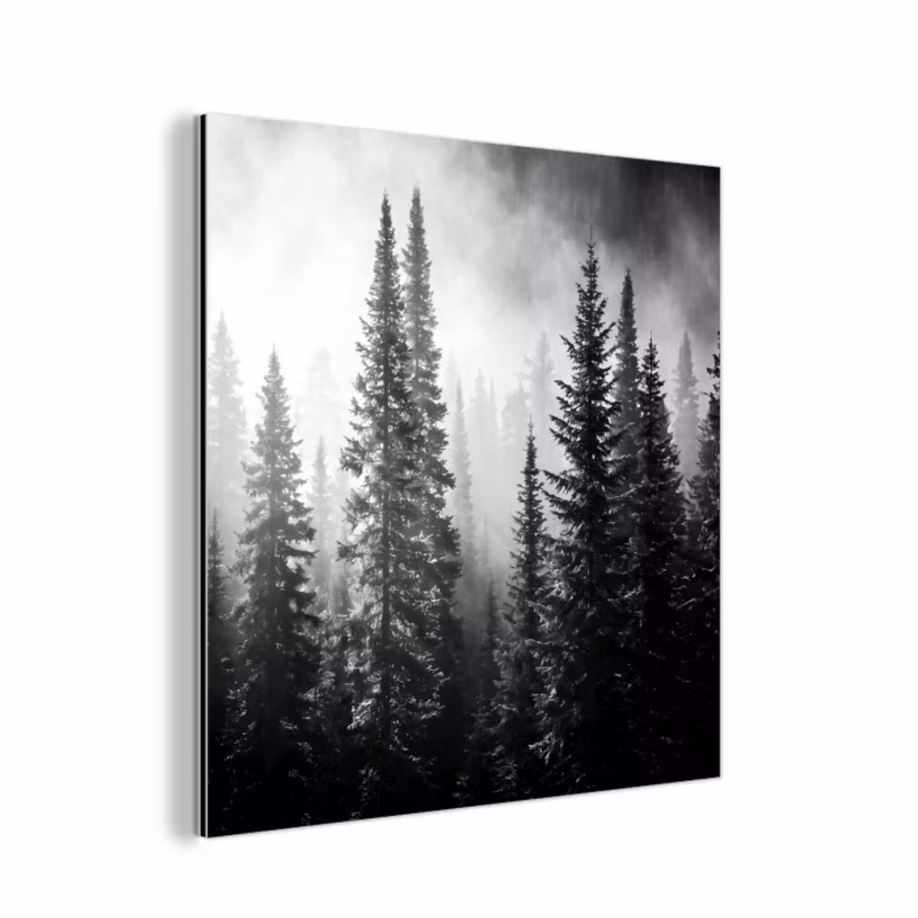 Bos - Mist - Winter - Monochroom - Natuur aluminium wit klein -3d