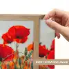 Klaproos - Bloemen - Rood - Paars - Weide Light Box met batterij (Wandlamp) middel -USP_websiteprintNL